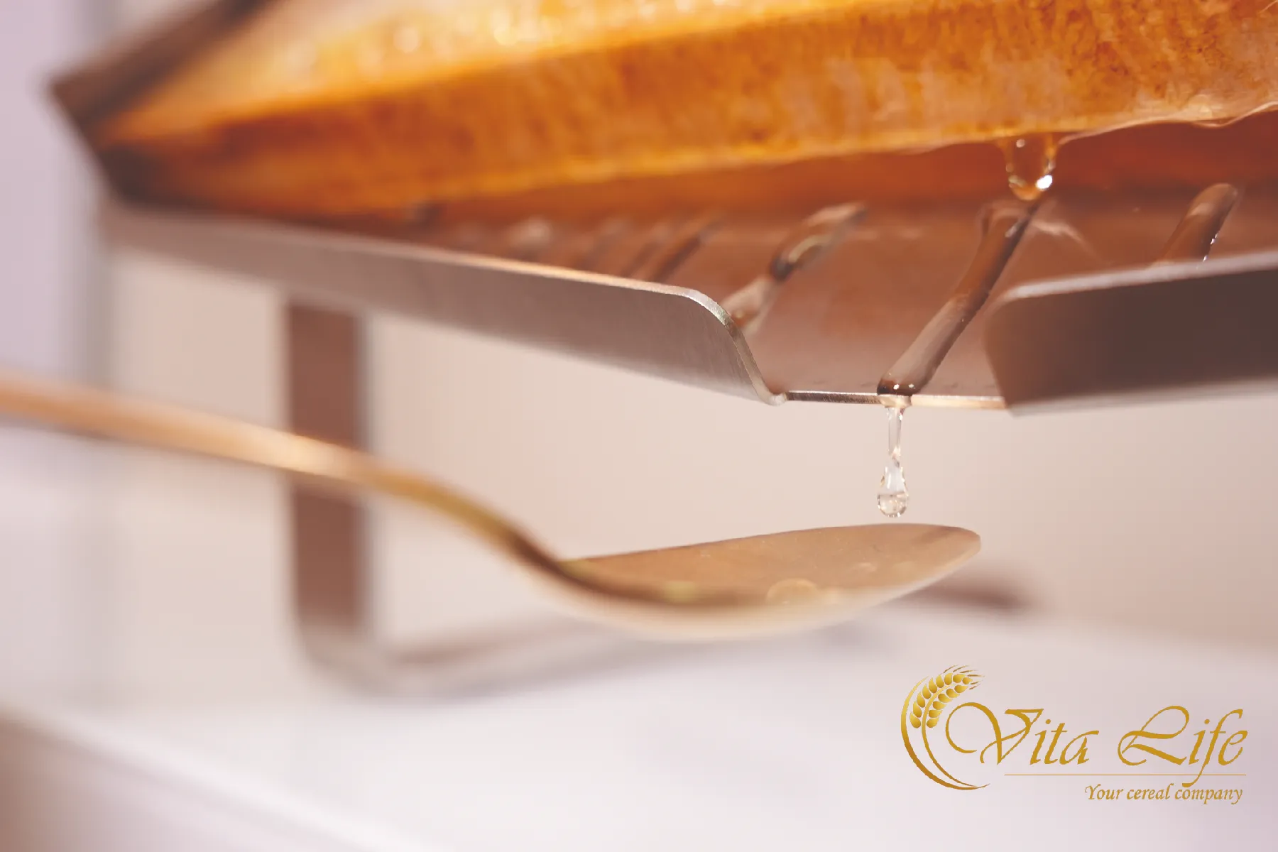 Honingraat kopen: de ultieme gids voor luxe, rauwe honing op het ontbijtbuffet